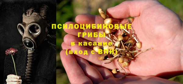синтетический гашиш Верхний Тагил