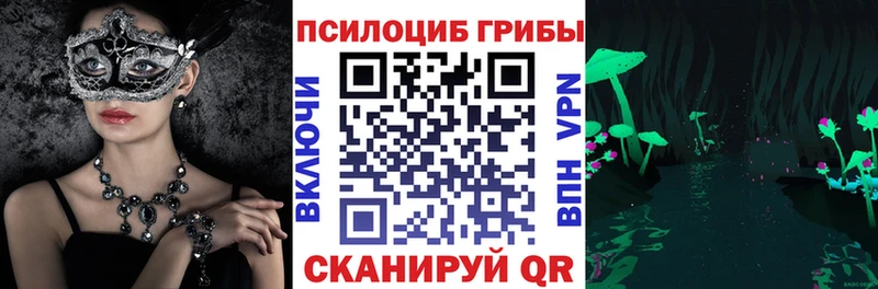 дарнет шоп  Староминская  Псилоцибиновые грибы Cubensis 